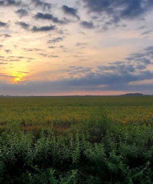 About Estate Planning in Fort Atkinson, Wisconsin, Hein Law Office Blog Articles